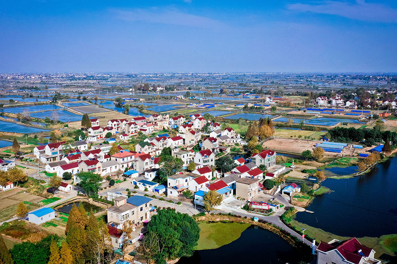 石橋鎮(zhèn)永新村.jpg